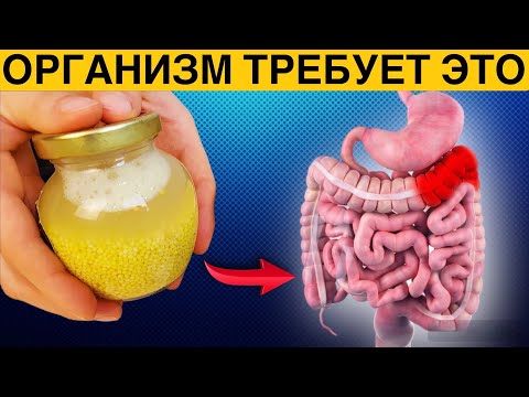 Вот как ПШЕНО ВЛИЯЕТ на тело! 90 людей этого не знают, а зря! Посмотри