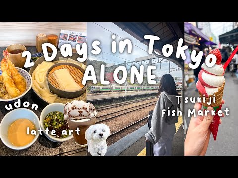 Japan Travel Vlog: