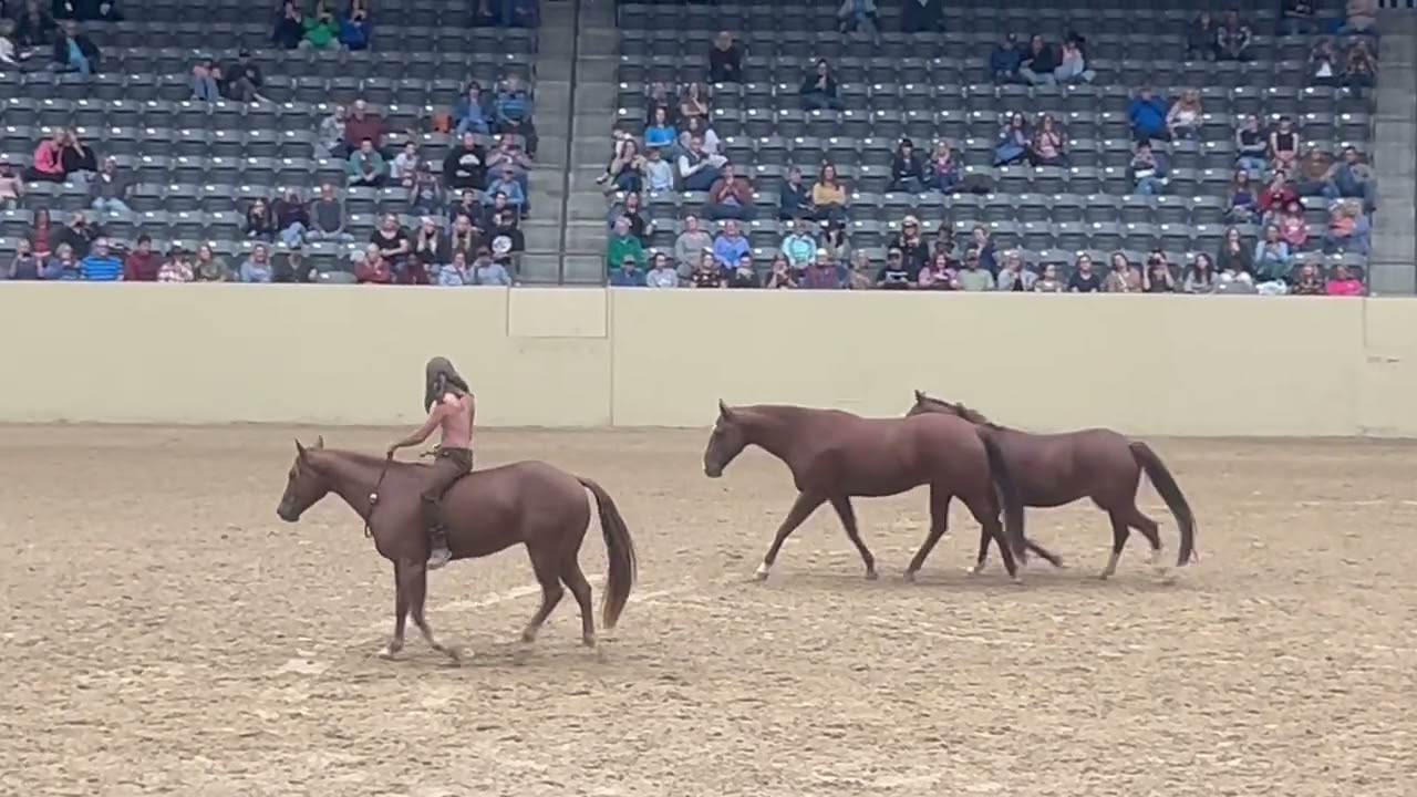 Elliot Holtzman: 2025 Liberty Festival Frestyle
