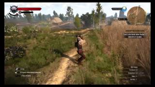 Scoiatael Sword Overview Witcher 3