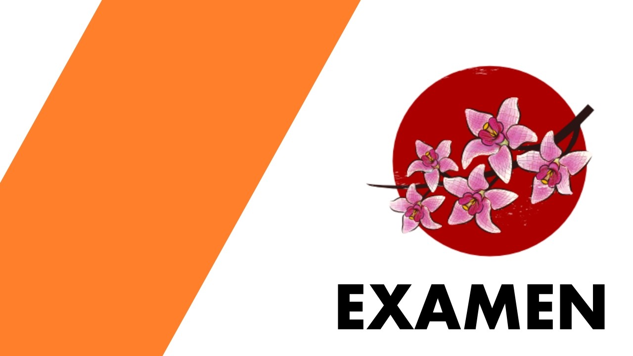 EXAMEN CINTURÓN NARANJA / POSICIONES/ DESPLAZAMIENTOS/ TÉCNICAS/ KATA/ KUMITE #karate #shotokai