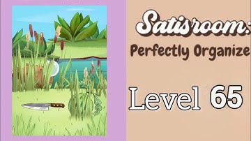 Satisroom Level 65 Walkthrough