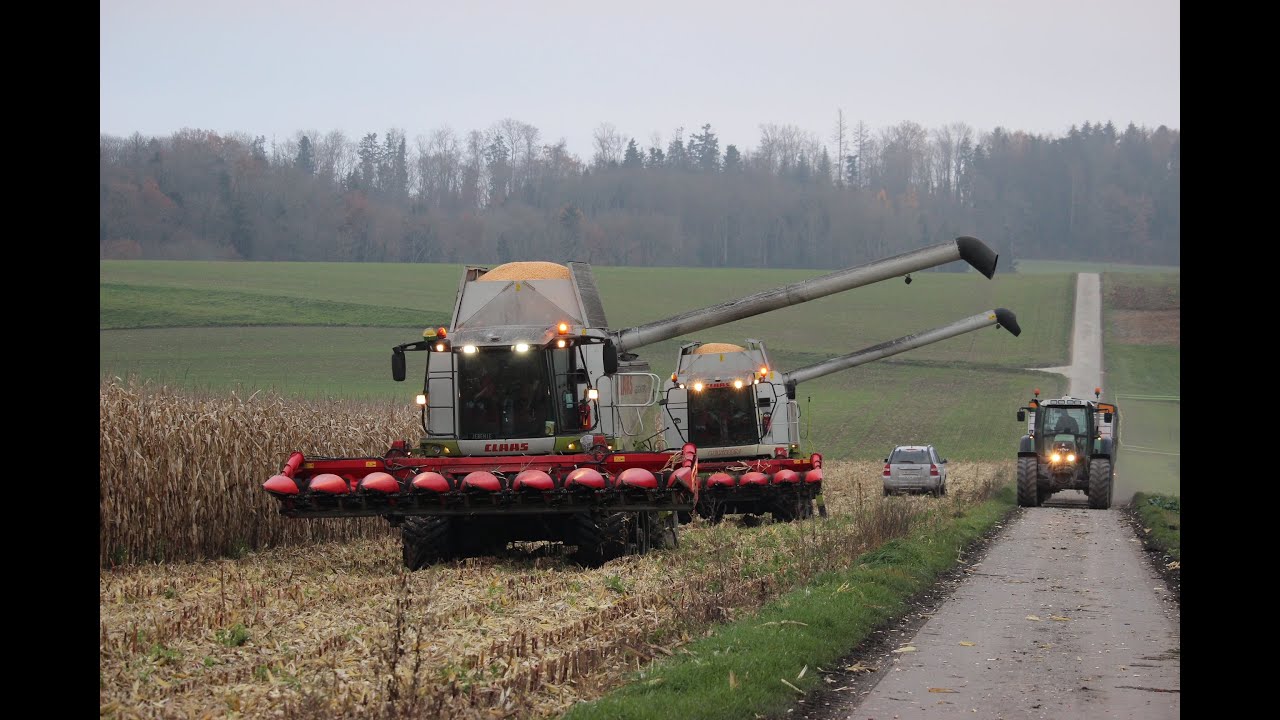 Doublé Claas Battage de Maïs 2020 🌽🇨🇭