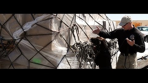 Inside Look: Explosives Detection Canine Teams