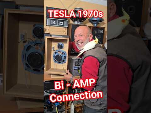 audio equipment sales
