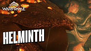 Warframe - Helminth System Invigorations Are Good?