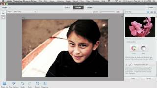 What's new in Photoshop Elements 11?