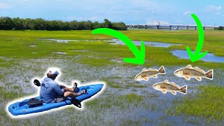 South Carolina Flood Tide Fishing for Redfish