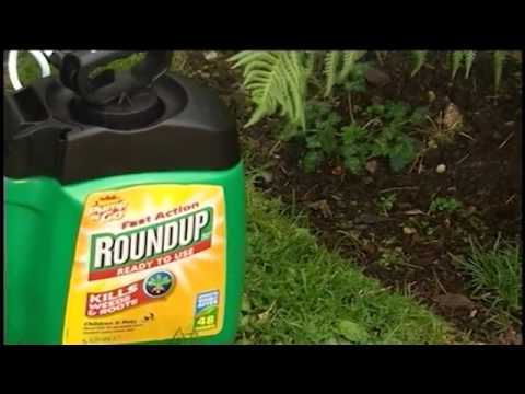 Rady a doporučení při odstraňování plevele pomocí přípravků Roundup