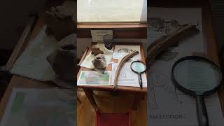 The Hill Memorial Museum is the home of the Sussex County Historical Society, Newton NJ