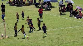 Sports Plex Park Coral Springs Florida