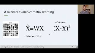 Learning with gradient descent can explain non-uniform perceptual sensitivity (NMC 40)
