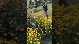 Fahaam With Flowers 🌻#viral #dekhaekkhwaab #fahad #fahaam @SweetFahadFahaam
