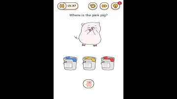 Brain Find Level 37 Walkthrough