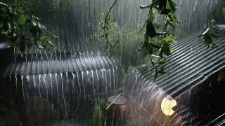 Dreamy Night with Constant Rain & Echoing Thunder Over the Hills in the Mist.
