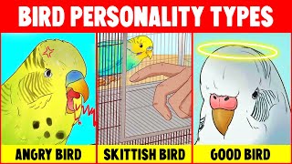 Top 5 Bird Personality Types