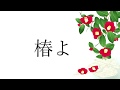 椿/柴田淳(Cover♪)