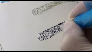 Famous Machine Hair Stroking Patterns Frankenstein Fractal with Ombré | iBrowsAcademy | David Nguyen Net Worth