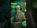 🍁 Ganja: Sukoon Ya Slow Poison?🎙️ Ek Sach Jo Har Youth Ko Jaanna Chahiye💨