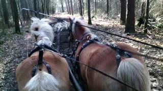 Hilke Abel De Drie Dorpen Ruiter -En Menroutes