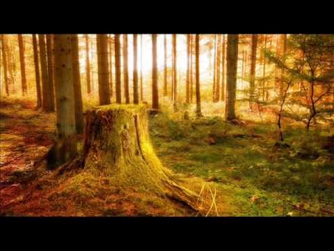 Foto de Alex Rodriguez