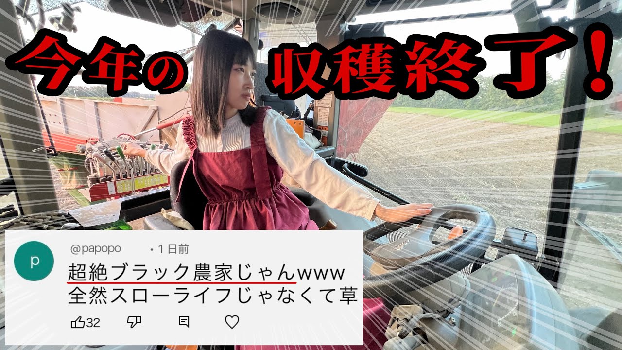 Сезон занятости японской женщины-фермера! В этом году работы по уборке урожая также завершены.