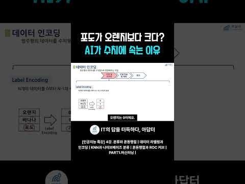 <strong>포도가</strong> 오렌지보다 크다? AI가 수치에 속는 이유