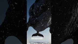 Kunpeng Reborn — The Beast of Time and Space 時空神獸鯤鵬再現 #whale #aestheic #Cinematic