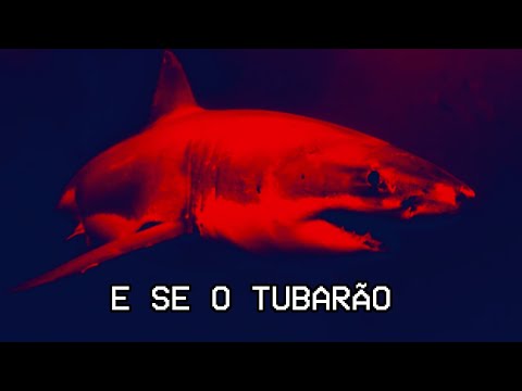 VOCÊ TEM MEDO DE TUBARÃO? CASO BIZARRO NO MAR NAUFRAGADO COM TUBARÕES, ASSUSTADOR, TENSO, SOLITÁRIO