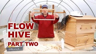 Flow Hive - Building Brood Frames, Tung Oil - Novice Beekeeping Part 2