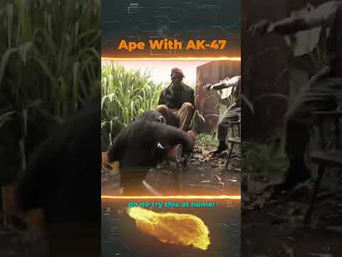 Ape With AK-47 (old meme), do not give to Ape shotgun