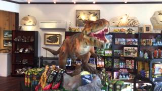 Prehistoric Store Lincoln City Oregon