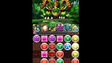 パズドラ 大橋 小橋