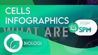 🪴 BIOLOGY | CELLS