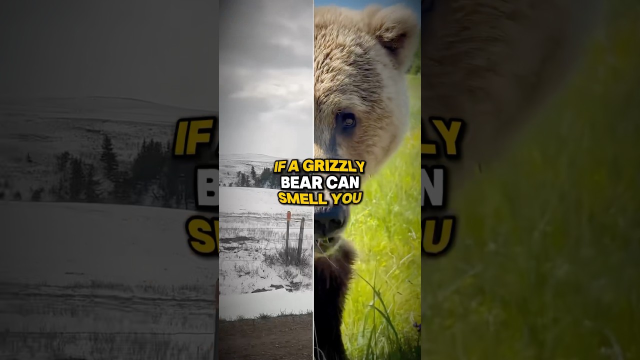 a Different Type of Smell 