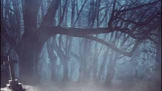 Background Video Kuburan Seram | Horor Background Video