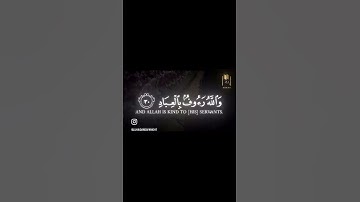 ويحذركم الله نفسه والله رءوف بالعباد - سورة ال عمران - محمد اللحيدان