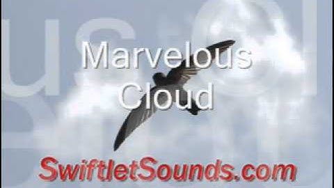 Swiftlet Sound - Marvelous Cloud External Sound