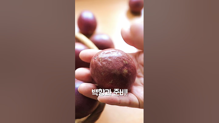 백향과청 (패션후르츠청) 만들기｜시원한 패션후르츠 에이드🍹｜Passion Fruit Ade