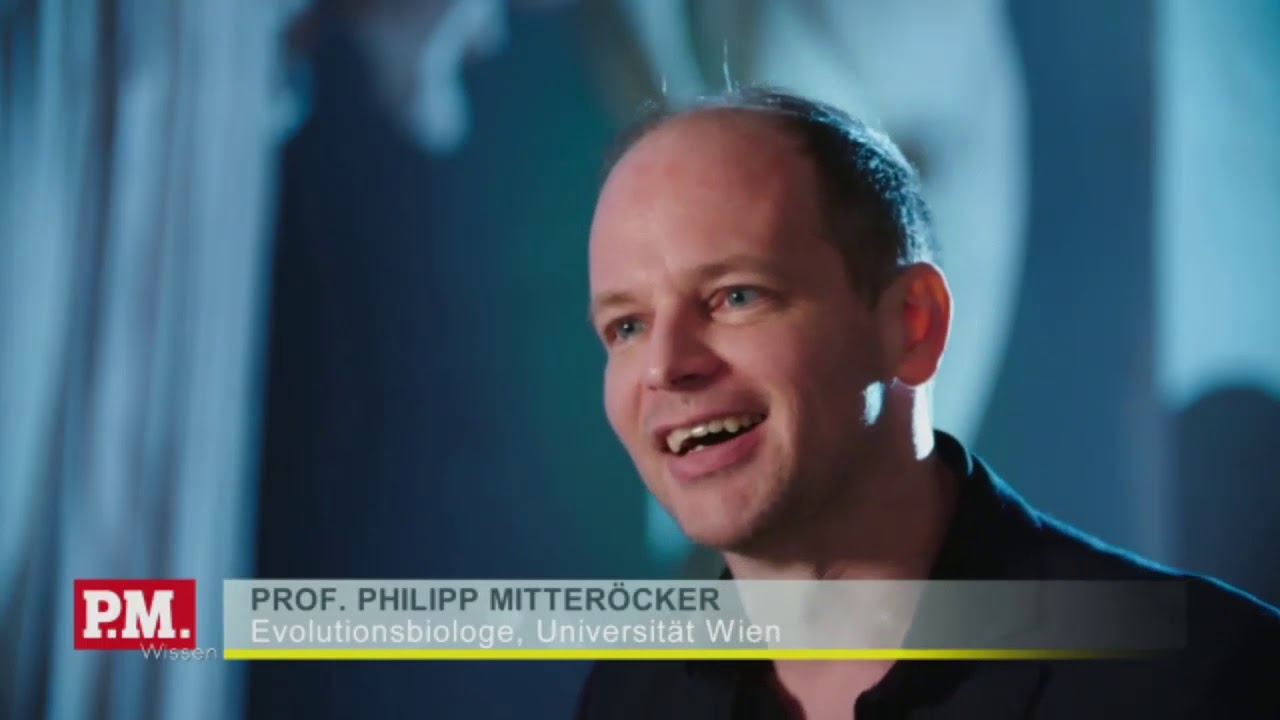 Die Evolution und der Mensch - Doku (2021)