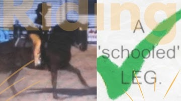 The Schooled Leg | Classical Cowboy: Leg at the Girth & Major Anders Lindgren’s Turn on the Forehand