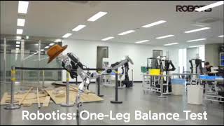 Robotis AI Sapiens Humanoid: One-Leg Balance Test!