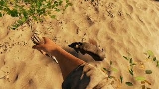 Stranded Deep pig hunt