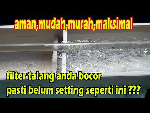 CARA MEMBUAT FILTER TALANG AQUARIUM SENDIRI DENGAN BENAR ...