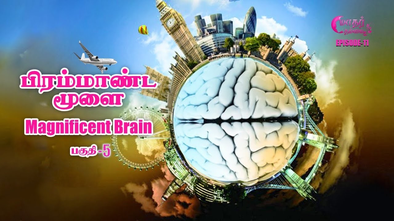 Maathar Thammai |  மாதர் தம்மை | பிரம்மாண்ட மூளை | Ep - 11 | HLM 04