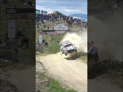 World News Cars