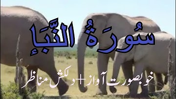 Surah Naba with Peaceful Nature Background | سورہ النبأ کی تلاوت | سورة النبأ