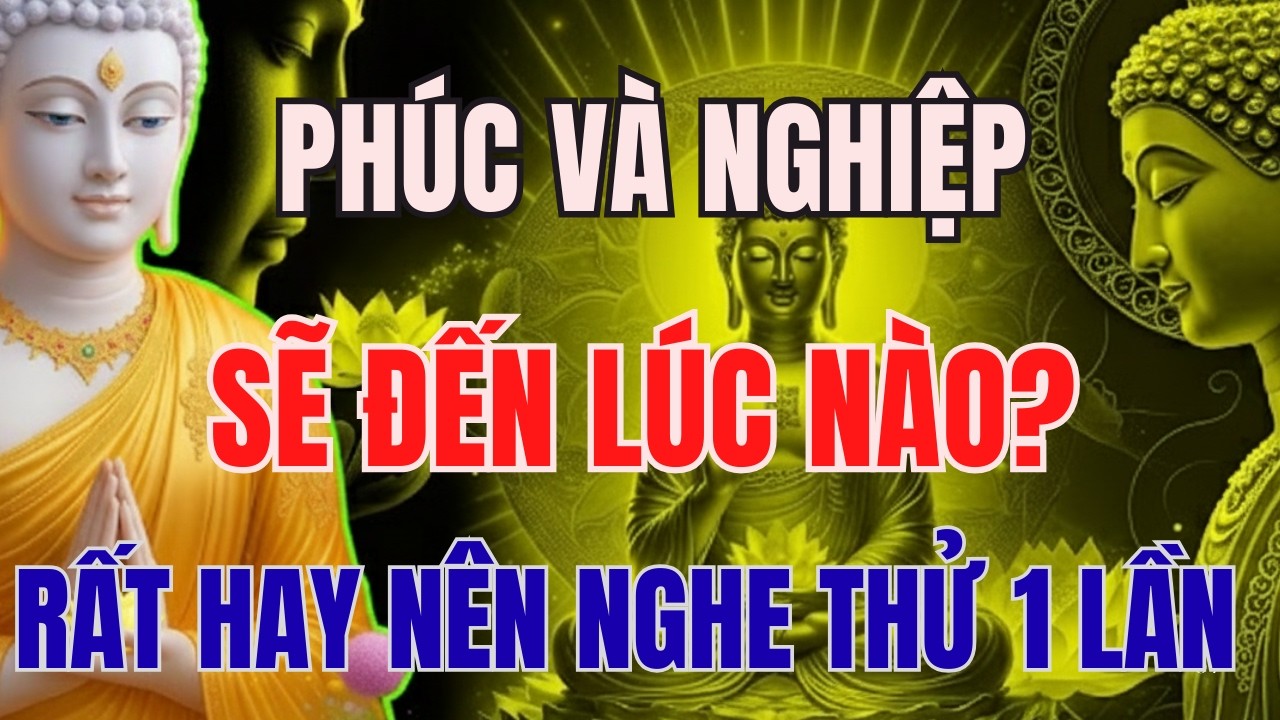 NIỆM PHẬT NGỦ NGON: PHÚC VÀ NGHIỆP SẼ ĐẾN KHI NÀO, RẤT HAY NÊN NGHE THỬ 1 LẦN | SUỐI NGUỒN TỪ BI