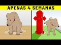 Como Treinar Seu Cachorro A Fazer Xixi Fora Rápido (E 7 Truques De Treinamento Para Filhotes)