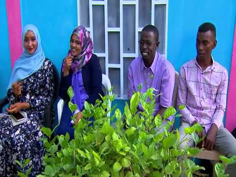 جلسة منتدى ام روابة الثقافي على قناة السودان احمدجمال في اغنية الخوجلاب
